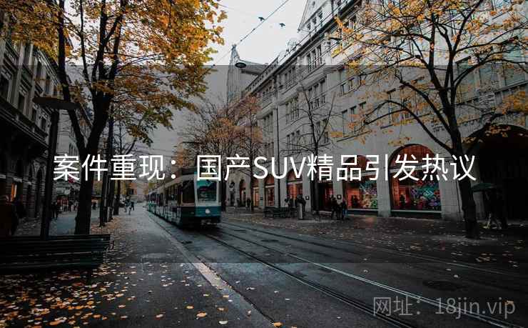 案件重现:国产SUV精品引发热议 案件重现:国产SUV精品引发热议